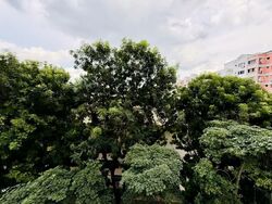 Blk 867 Woodlands Street 83 (Woodlands), HDB Executive #586180501